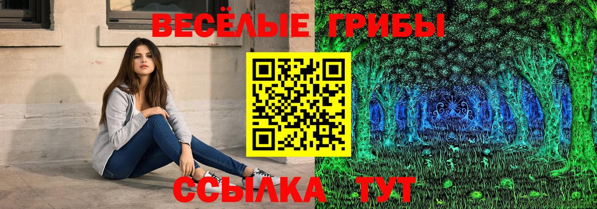 Псилоцибиновые грибы Psilocybe  Вход с VPN  Майский 