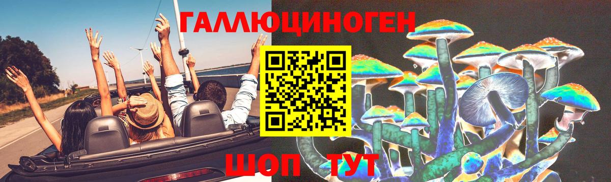 Галлюциногенные грибы Psilocybe Майский